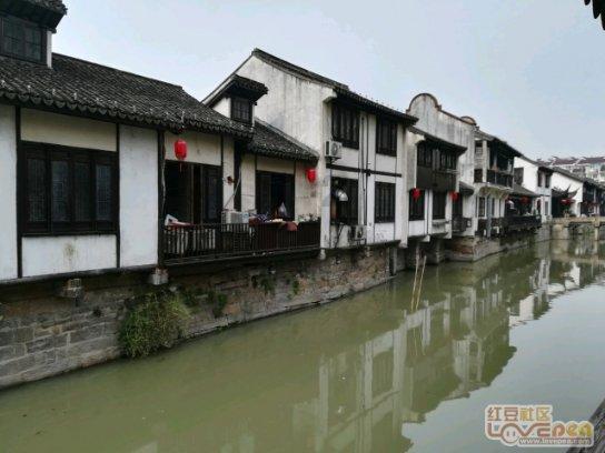 动物帮帮忙保卫家园